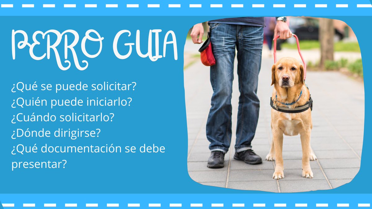 Ayer fue el día internacional del perro guía🐕‍🦺🦮 gva.es/es/inicio/proc…