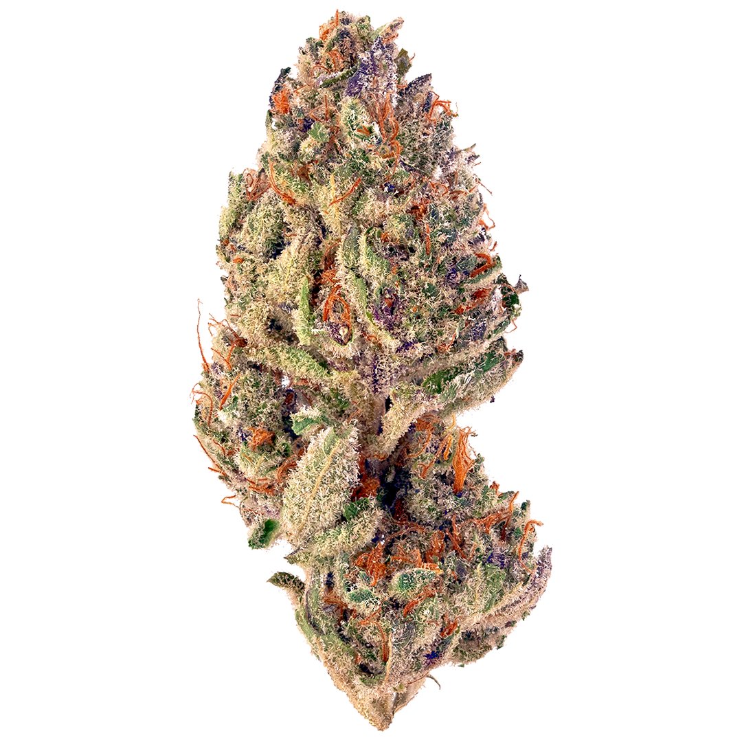 PotCultureMag's tweet photo. #StrainProfile: Indulge in Blueberry Cupcake this Thursday! 🧁🌿 A delightful hybrid from Humboldt, combining Blueberry Muffin & Wedding Cake for a sweet, baked-good bliss. With 25% THC, it's perfect for flavorful relaxation and a joyful uplift. #PotCultureMagazine #StonerFam https://t.co/UZrWoWGRxH