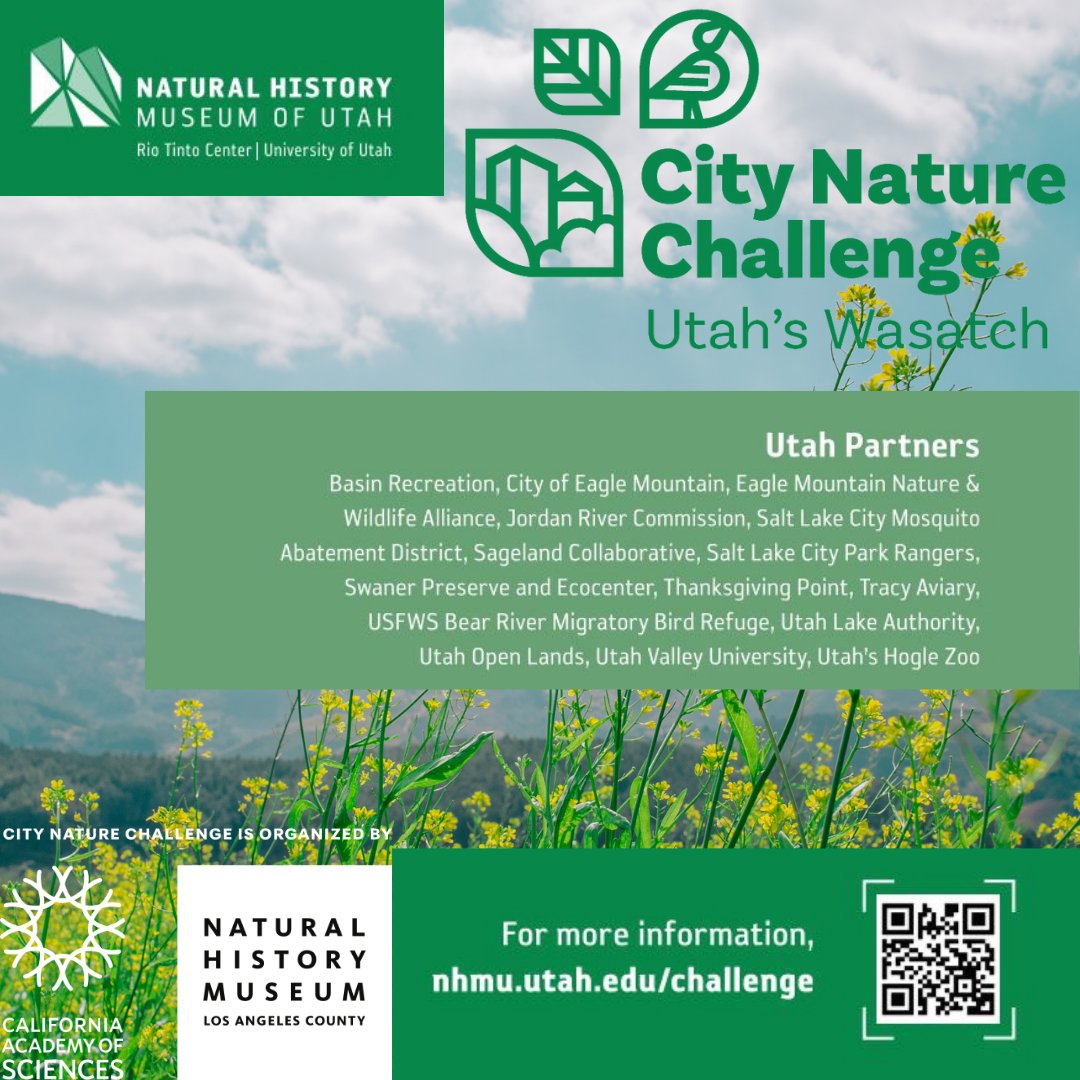 Today is the last day to make observations for the City Nature Challenge!
🌼🌱🪶
More info:
nhmu.utah.edu/citizen-scienc…

#CityNatureChallenge #communityscience