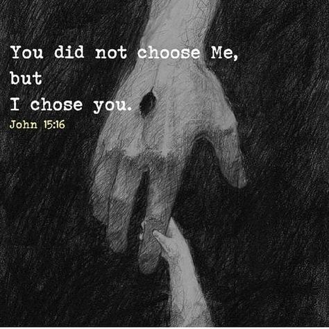 'You did not choose Me, but I chose you. And I appointed you to go and bear fruit—fruit that will remain—so that whatever you ask the Father in My name, He will give you.' - John 15:16