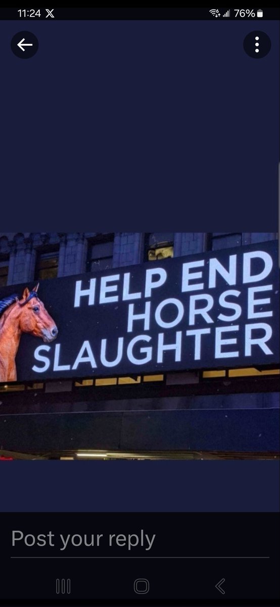 . IF YoU Think 🤔 ITs #WRONG to SEND Our #WildMustangs to a Slaughter Factory & Turn them Into #MEAT🍔🍣 CaLL☎️Your #POLITICANs (202) 224-3121 (202) 225-3121 TeLL em #PASS the #SafeACT bill Into LAW .
