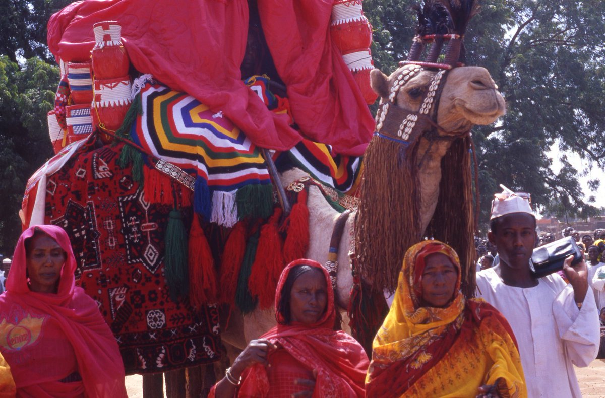 There once was a time when #Darfur was known not for genocide, but as the start of the millennia-old 40-day camel drive to Egypt, by which the camels reputed as the best in the world were driven to market. The ceremonial start of the Drive, El Geneina, 2002.