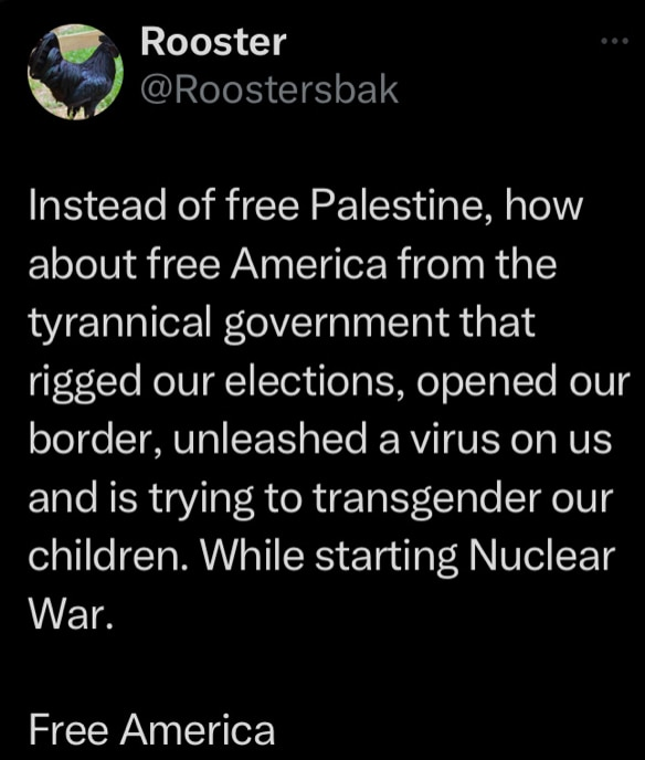 The fools protesting to free Palestine are screaming for the wrong cause. America is the nation that is dying, bound by a tyrannical government seeking permanent control.