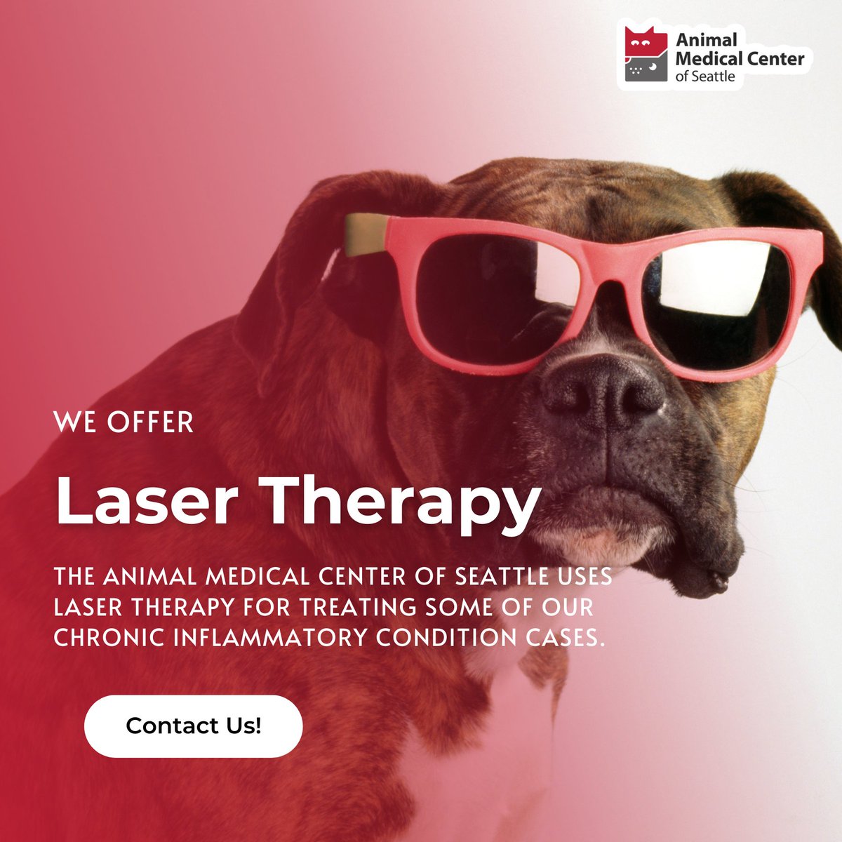 AMCSeattle Vet tweet media