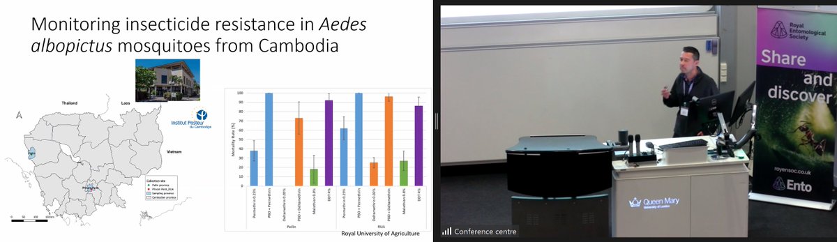 RoyEntSoc's tweet image. And last but certainly not least, we have Andrew Jones, @oxfordbrookes_ on monitoring insecticide resistance to inform optimal control of invasive species.

#RESExtreme24