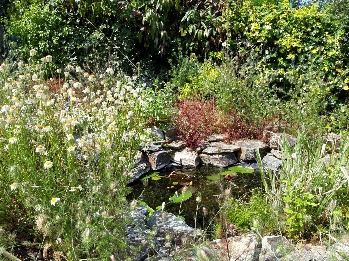 What can environmental DNA tell us about your garden pond? Delighted to partner with @NHM_London @NHM_CitSci @JNCC_UK @CefasGovU for a third year of GenePools