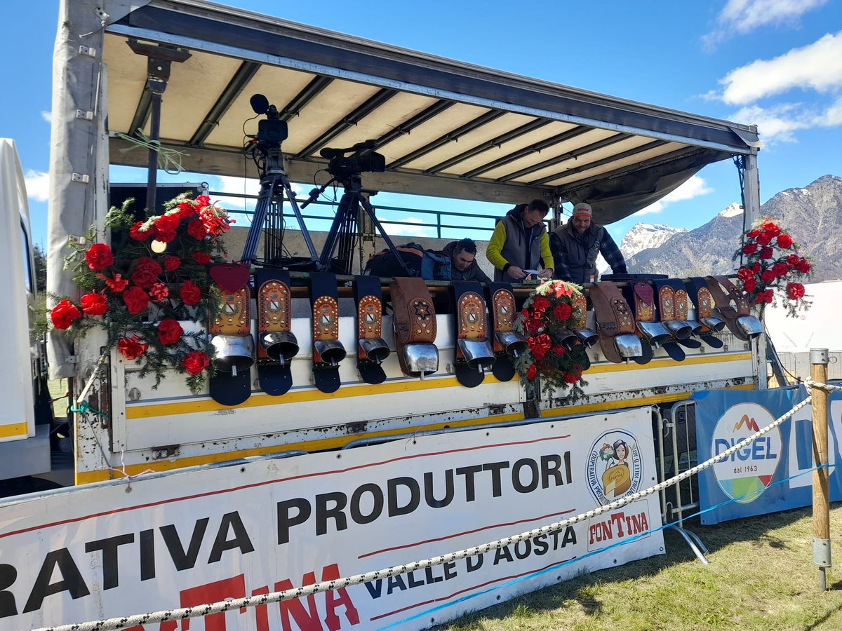 AmisdesReines's tweet photo. 150 le bovine presenti a Challand-Saint-Victor
6º Eliminatoria di Primavera 
Giovedì #25Aprile 
67° Concours Régionale #BataillesdeReines
Partecipanti:  
26 bovine in 1º categoria, 56 bovine in 2º categoria e 68 bovine in 3º categoria
#VivelesReines https://t.co/rLKl3V8vmd