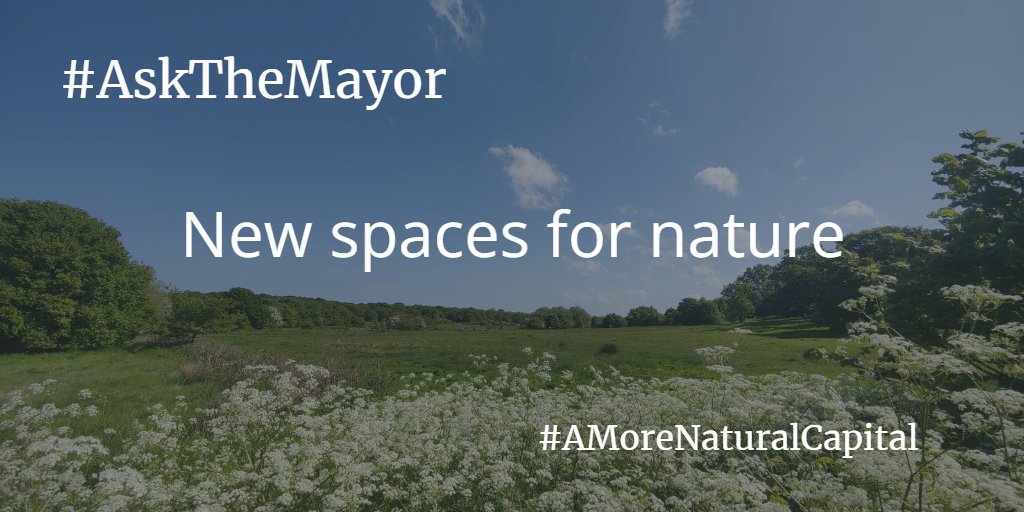 Will the next London Mayor protect #GreenSpace and create new spaces for #nature in the capital? Ask the Mayor to make the capital greener by supporting the More Natural Capital Coalition’s top 10 environmental calls to action👇 ow.ly/iGBZ50Ro7EJ @CPRE #londonnature