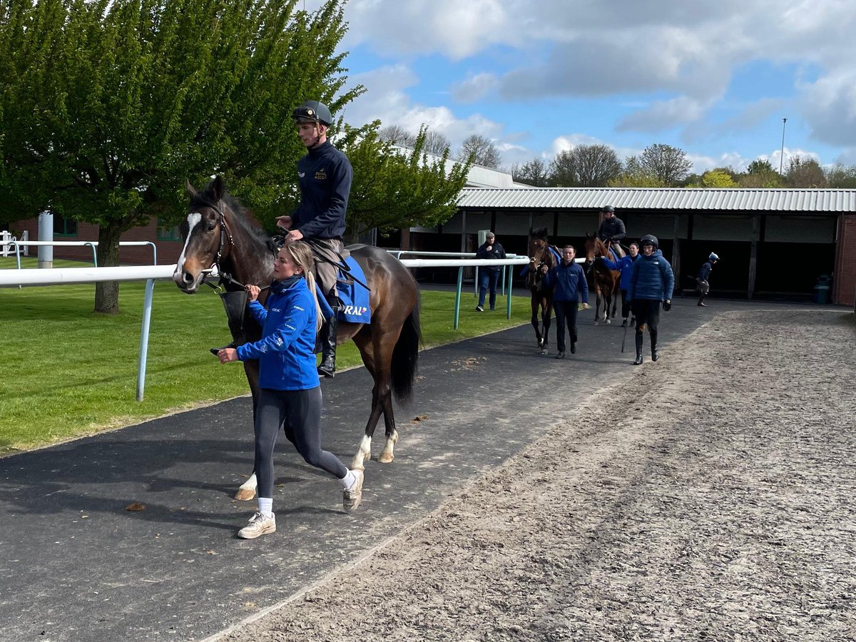 🏇 We took 16 horses for a racecourse gallop to @WolvesRaces today, with the likes of @oismurphy, @daviesharry_, @RossCoakley & @jasonhart13 all riding out for us. 👏 Well done to all of the staff who ensured the work morning went smoothly. @Coral @HM3Legal @nafuk #TeamMHS