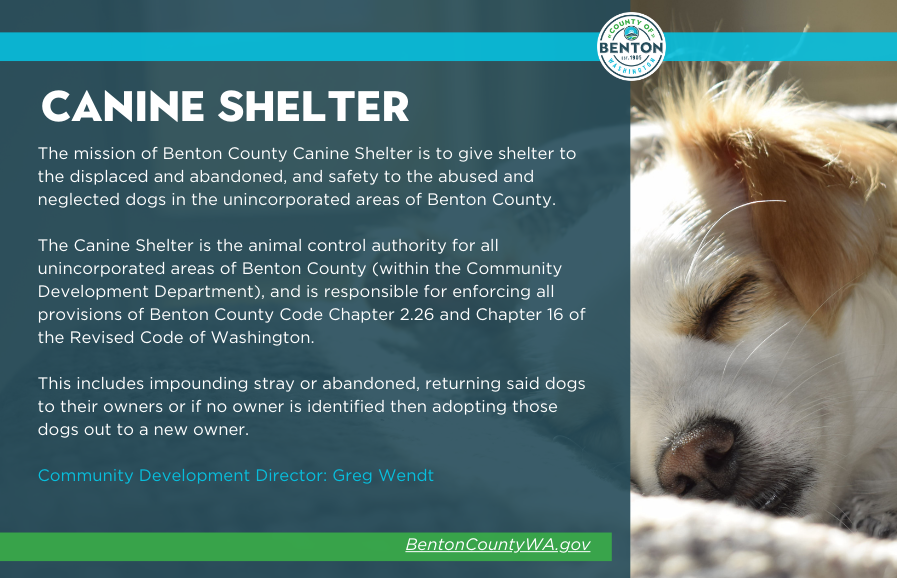 April is National County Government Month.  What is the County Canine Shelter, and what do they do for the people of Benton County?  We're glad you asked.

#bentoncountywa #NationalCountyGovernmentMonth