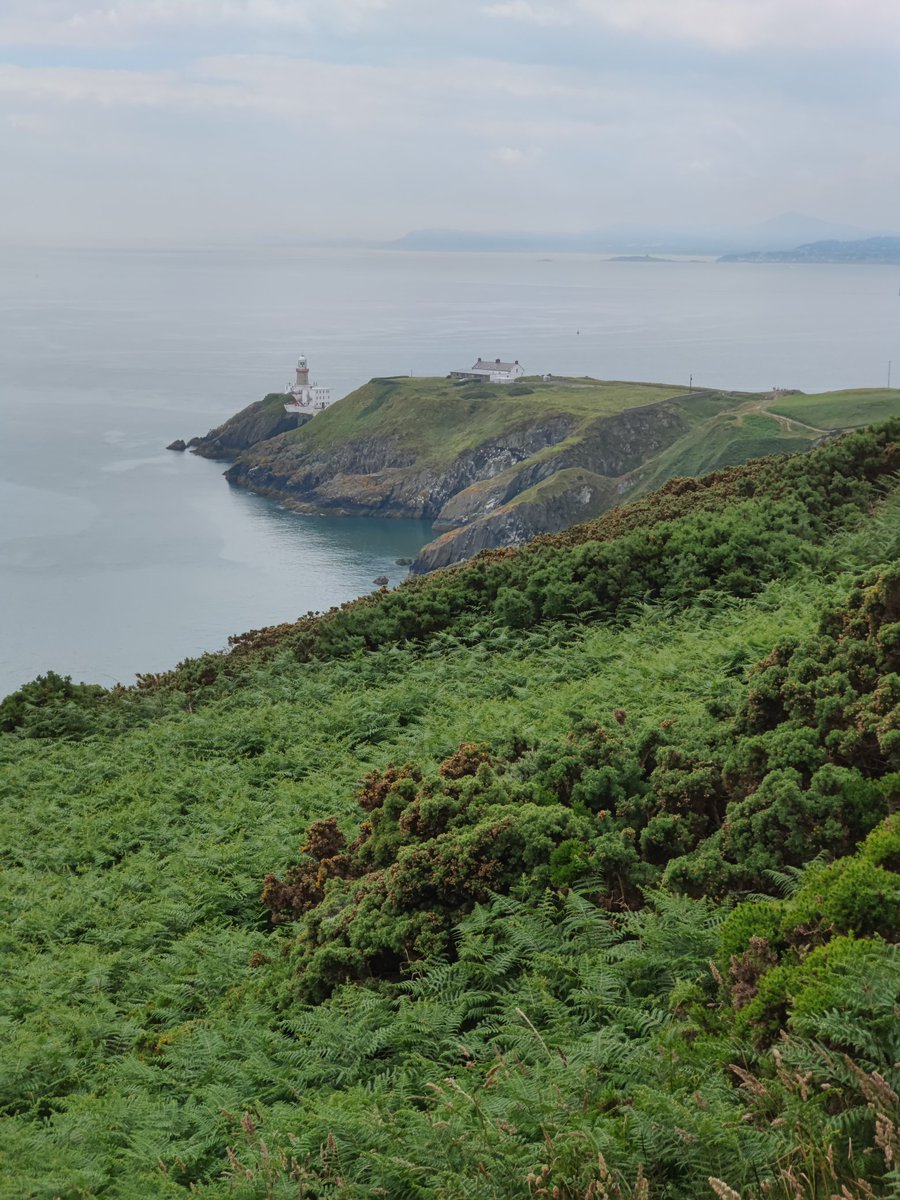 @danitahamel Green and serene; Dublin, Howth