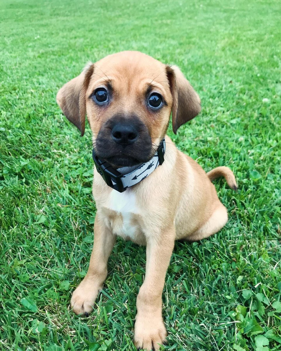 Into_Roblivion's tweet image. Gm from the birthday boy. Celebrating 6 years this week. Hard to believe how fast it went by.