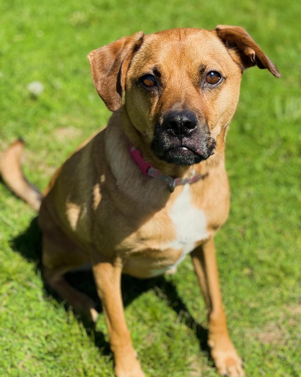 Into_Roblivion's tweet image. Gm from the birthday boy. Celebrating 6 years this week. Hard to believe how fast it went by.