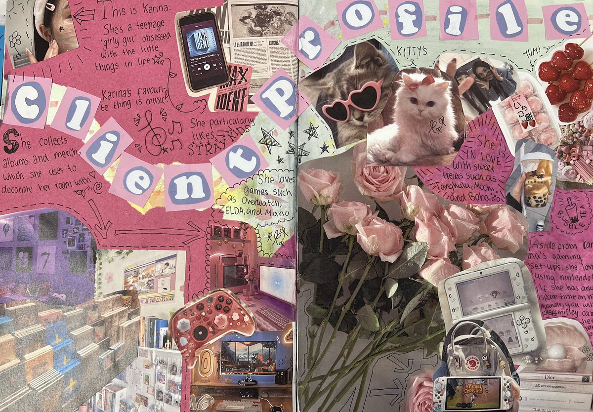 Fabulous Client Profile from Aimee in Year 8 today! Superb work Aimee. #excellence #GraphicDesigner