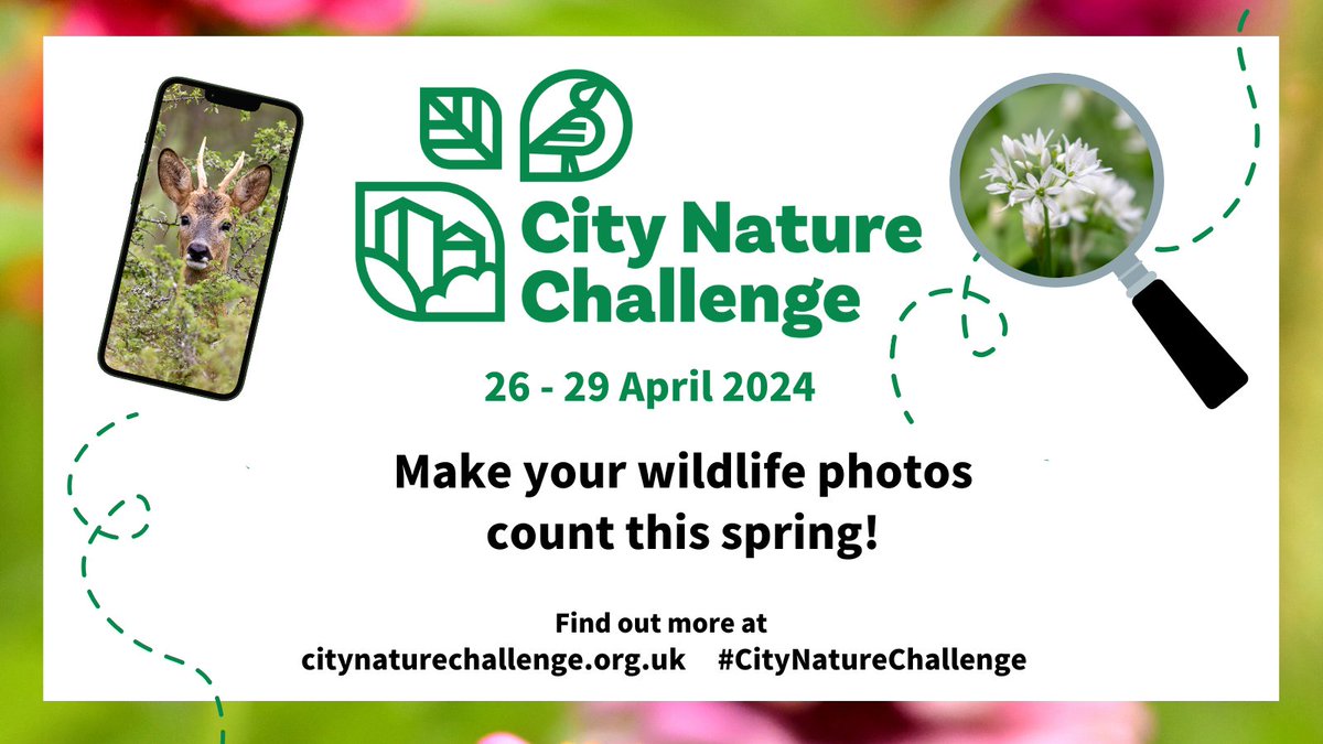 Take part in #CityNatureChallenge2024! Join people in cities around the world on a mission to record as much nature as possible from 26 - 29 April. 📲 🐝 Get involved in the international wildlife count via the free @iNaturalist app and record your finds. ow.ly/pk6Z50Roehg