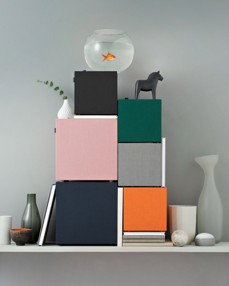 SATORI & SCOUT tweet media