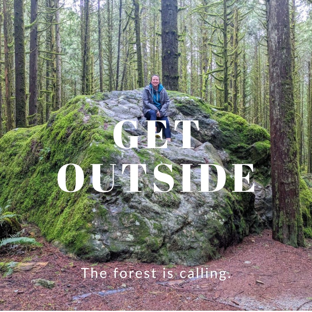 GreenSparkGroup's tweet photo. Venture into the forest. Immerse yourself and appreciate.  #GetOutside #enjoy #nature #worthit #GoldenEarsPark https://t.co/qLnMCpnahS