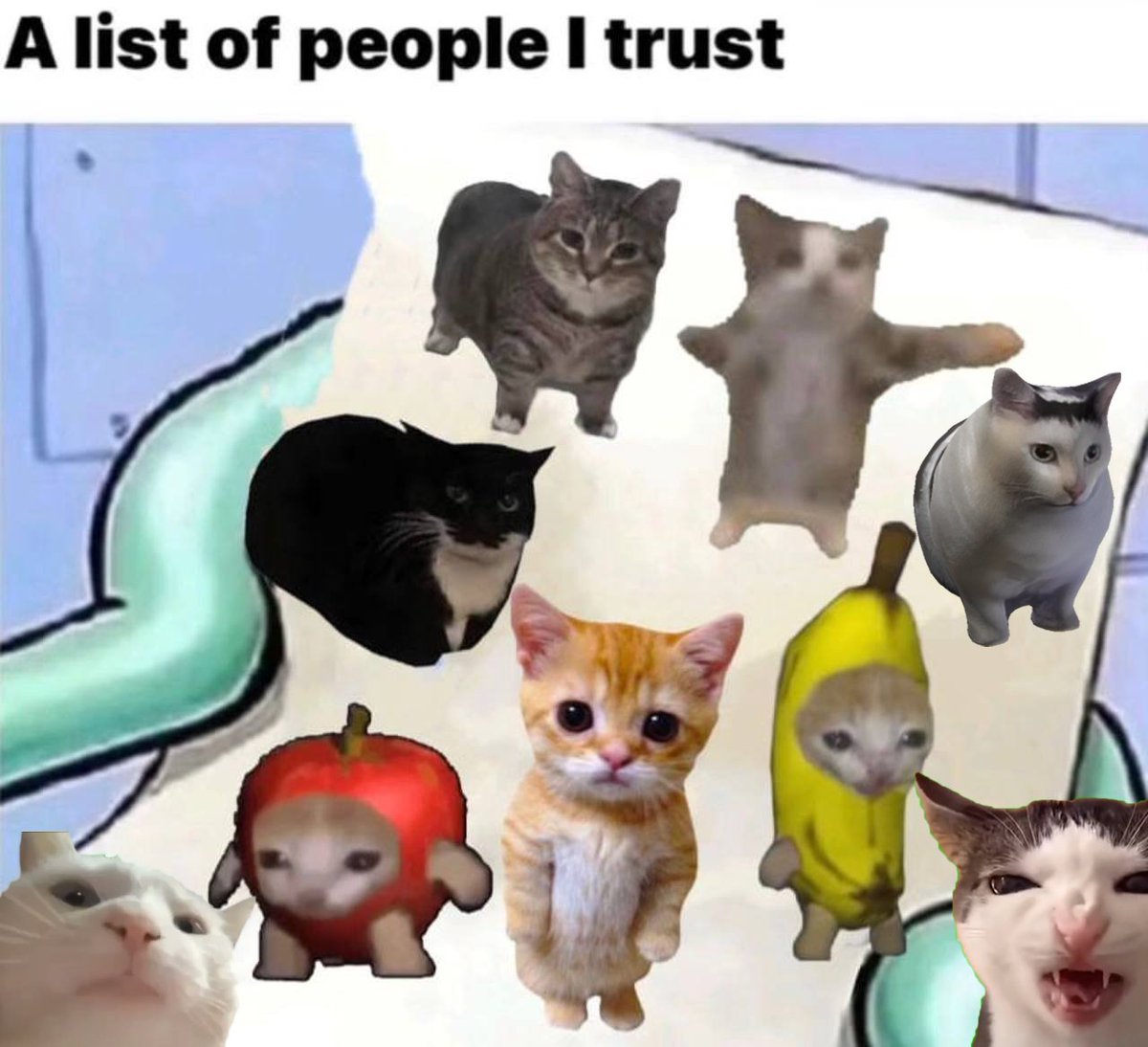 Catardio, $HUH?

$VCAT $CRUNCH $HAPPI $ELGATO $ACAT $BCAT 

<a href="/VibingCatSolana/">VIBING CAT</a> 
<a href="/crunchcatsol/">Crunchycat (Parody Account)</a>
@HAPPIcatOnSOL 
<a href="/Elgatoonsol/">el gato (the standing cat)</a> 
<a href="/AppleCatSolana/">AppleCatSOL</a> 
<a href="/bcatonsol_/">BANANA CAT $BCAT on SOL</a>