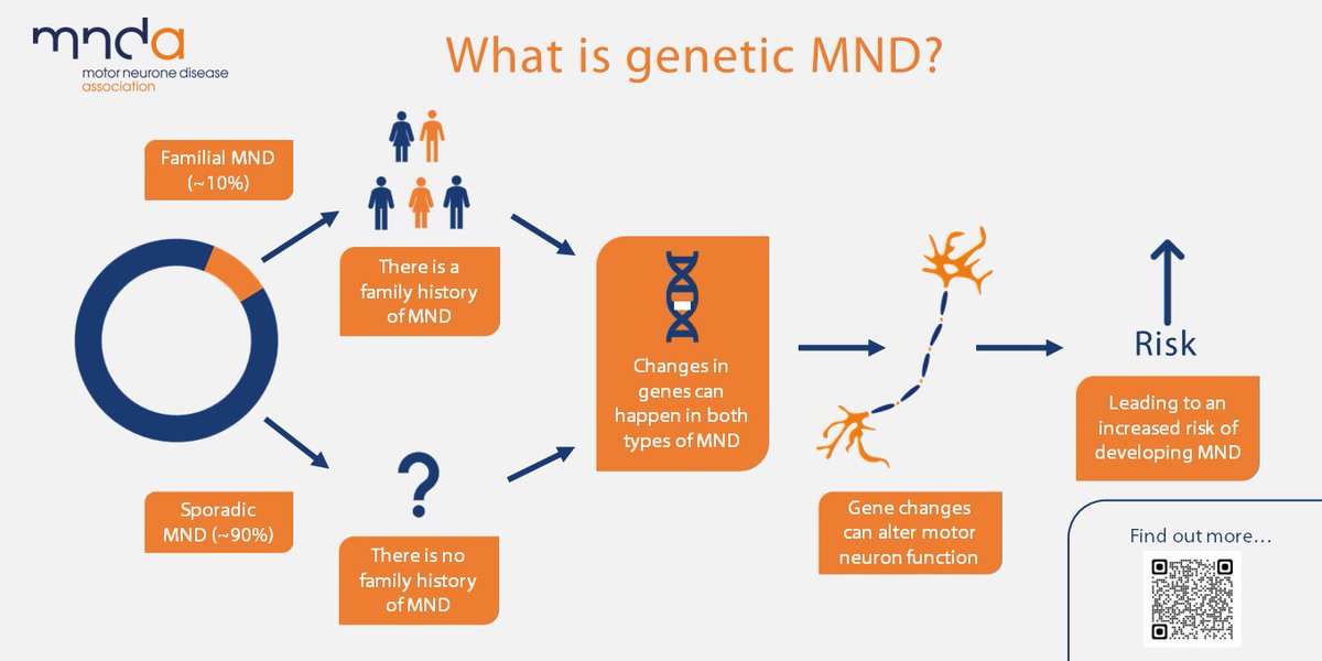 How does DNA play a role in #MND #ALS? 🧬 Genes are instructions for processes in our bodies. Each gene is made up of DNA. Changes in certain genes can alter motor neuron function and increase the risk of developing MND. #DNADay