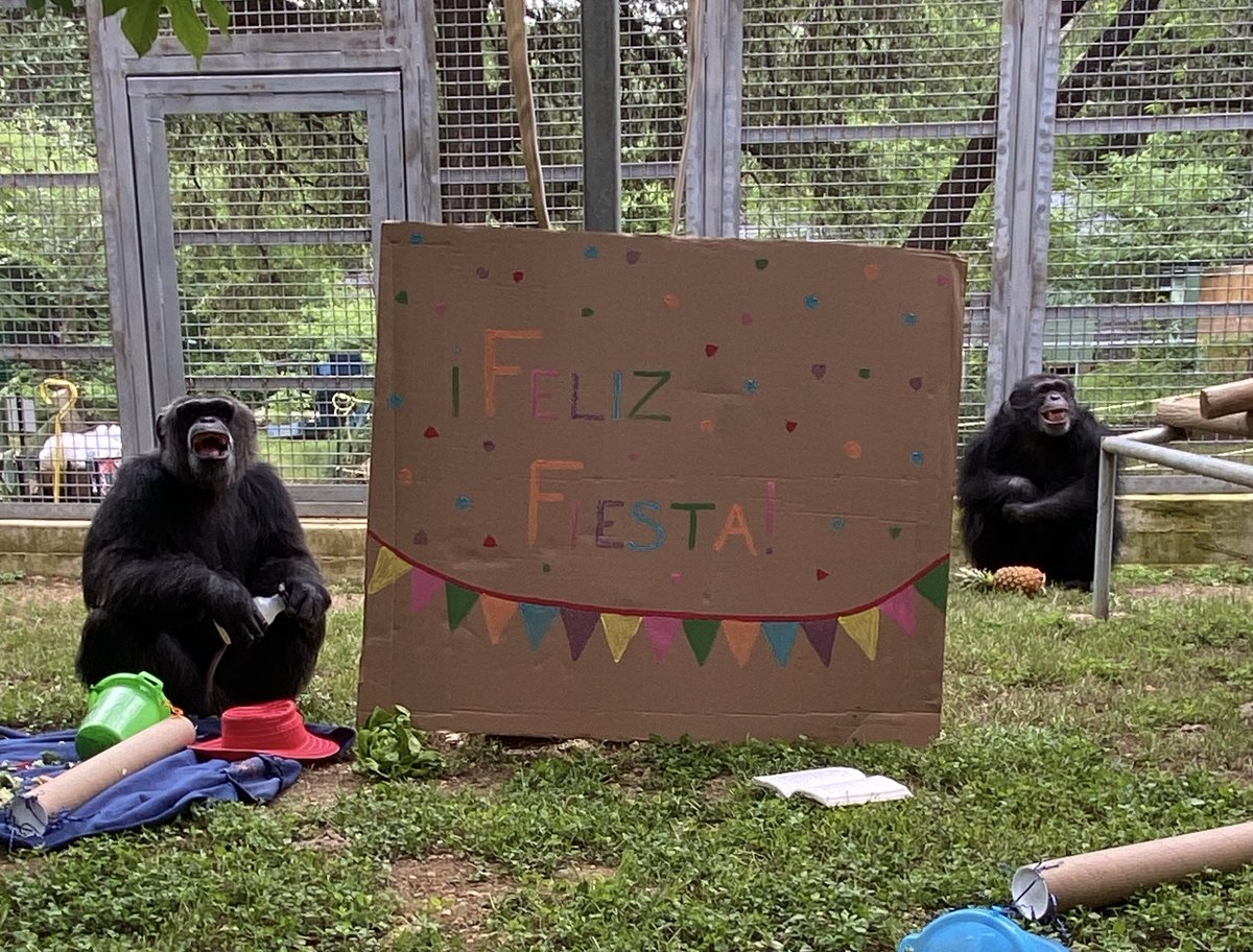 Like you couldn't tell...It's FIESTA week in San Antonio, and Jason and Baxter can't attend the Parade of Flowers, so there's a mild backlash.