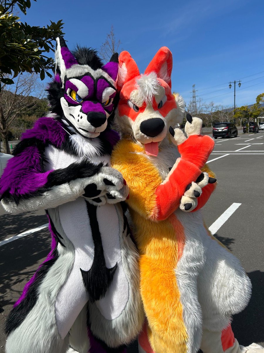 なんか変身ポーズみたい…！！🤔 #FursuitFriday