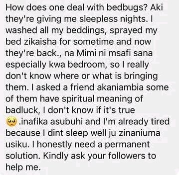 Mnatoa wapi Bedbugs Majamaa?