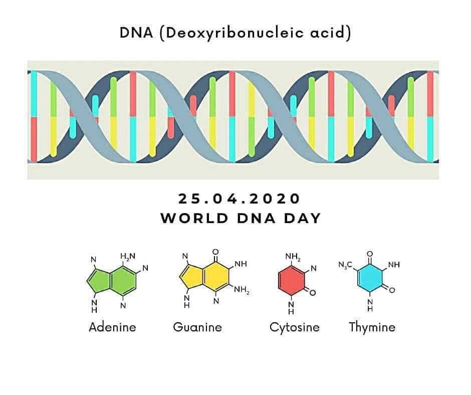 #DNADay24 
Ur dna proves what kinda genetically dumb or genetically smart person u r 🤣🤣🤣

#worlddnaday