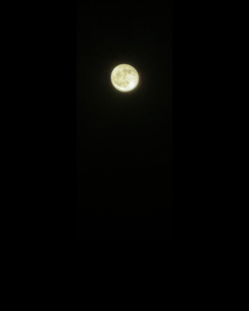 hyunchanstar's tweet photo. 🥟: the moon is pretty 
🐺: the moon is pretty today https://t.co/svCy8EADGm