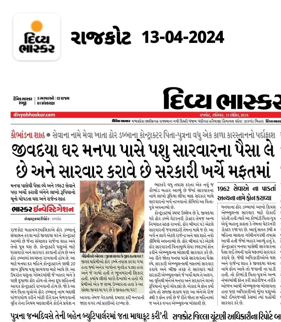 🚨Daily 5 to 6 cows are dying🚨 without food water in Cattle Pound. Jivdaya Ghar Panjrapol Authority under serious accusations. Taking lacs of rupees from Corporation, still the situation of cattle is worst. #rajkot #rajkotnews @AwbiBallabhgarh #cow #AnimalCruelty