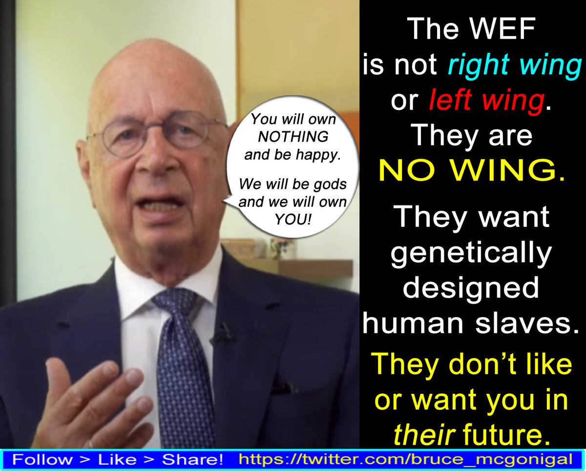 @jk_rowling All the time wasted on these mindless debates is exactly what the WEF wants. They make up all this crap, peddle it through their WOKE education & MSM then laugh as we all fight over it. It's fascism 2.0 they want. Hurting children's ability to have their own kids is part of it.