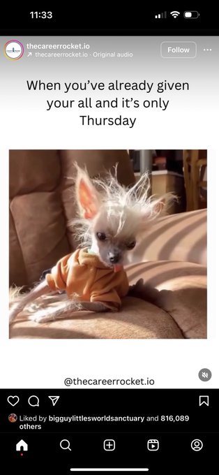 I can&rsquo;t stop laughing 🤣 https://t.co/1Y6d1SBoXU<a href="/tag/pets"class="tags"><span>#pets</span></a><a href="/tag/share"class="tags"><span>#share</span></a><a href="/tag/save"class="tags"><span>#save</span></a><a href="/tag/earnpoints"class="tags"><span>#earnpoints</span></a>