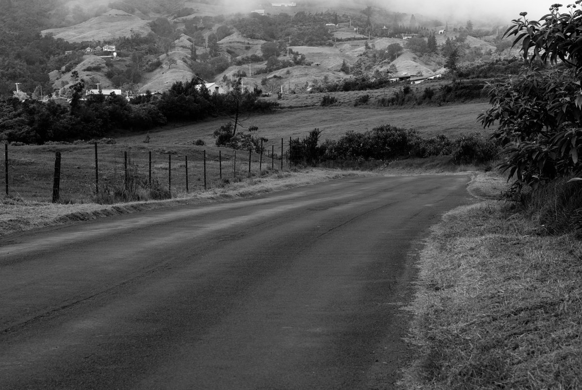 Bonne soirée 🙂 📷: Photo prise à la grande ferme 🇷🇪 #canon #blackandwhite #blackandwhitephotography #blackandwhitephoto #pictures #photo #photographer #photooftheday #beauty #beautiful #instagood #instagram #lareunion #team974 #974island #pourtoi #foryou #FYP