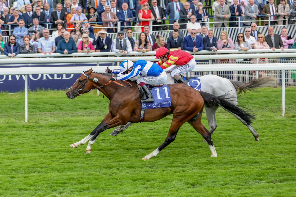 The Dante Festival | Wed 15 May - Fri 17 May - Record prize money of £1.5m - Five figure increases for all pattern races - No race run for less than £25,000 - Everyday a Premier Raceday We can't wait to welcome you back.