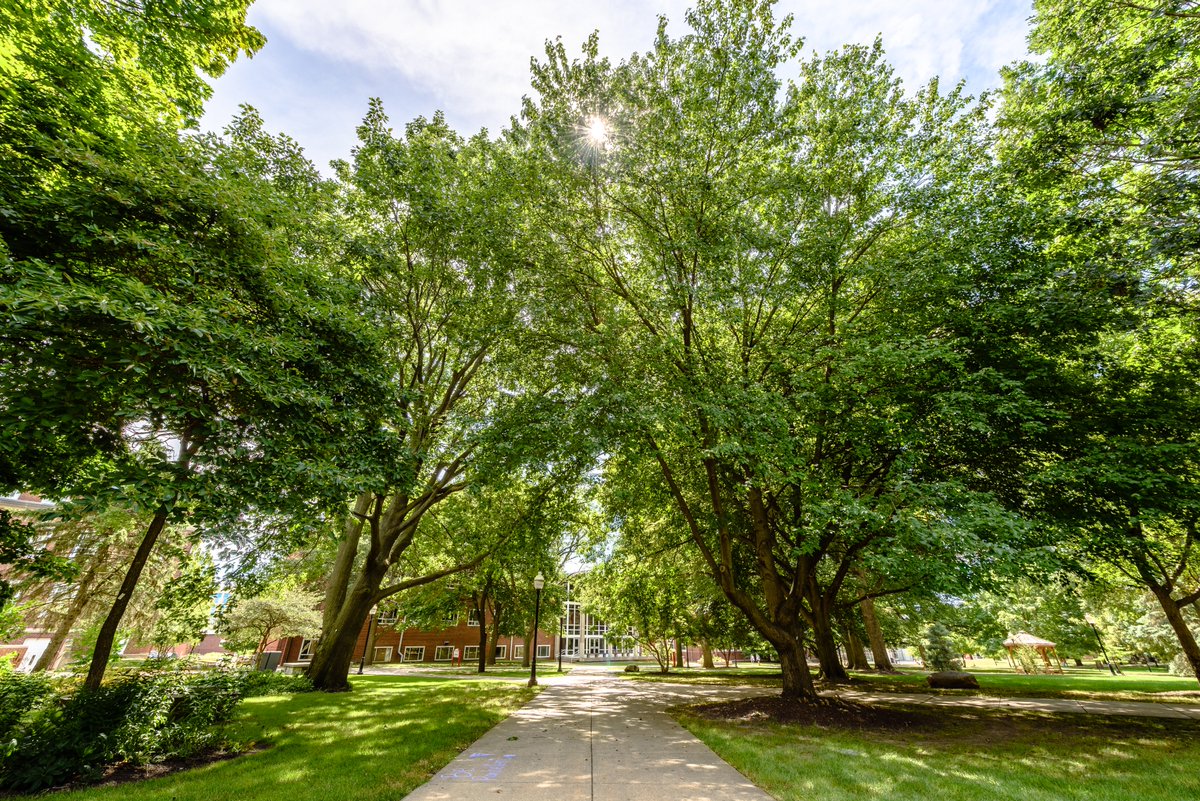 Today is #ArborDay in Illinois, a holiday that was created to plant, and celebrate trees across the nation. Shoutout to our groundskeepers for always keeping our campus beautiful 🫶
