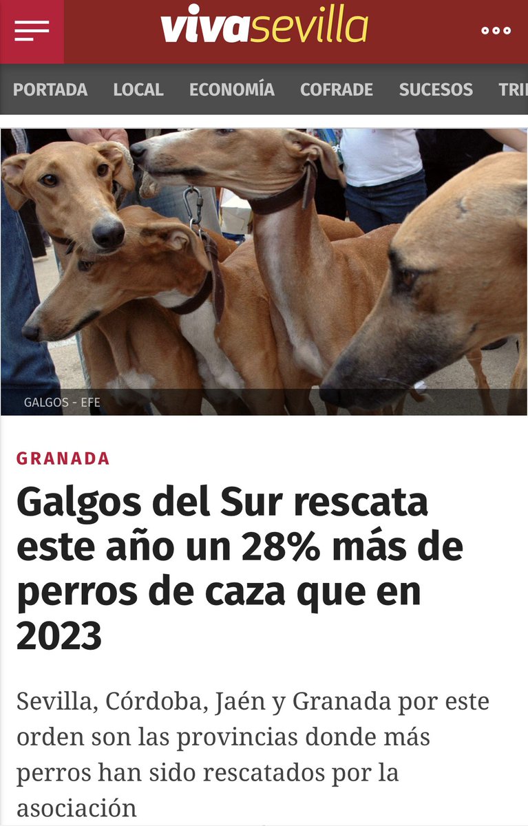 Este año llevamos recatados 117 perros de caza, 97 son galgos. Un 28 % más que el año pasado por estas fechas. Las cifras del horror, de la cría y desecho masivo. El Gobierno estatal y los autonómicos amparan e abandono y maltrato a estos con su apoyo incondicional a la caza.