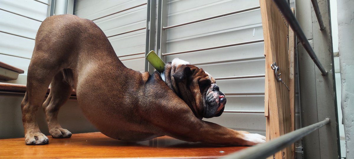 Jay Zambrano tweet media