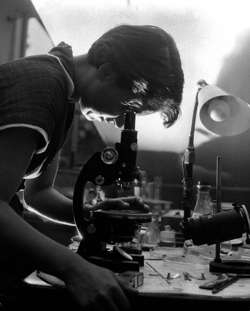 On #DNADay, we commemorate Dr. Rosalind Franklin's Photo 51, an x-ray diffraction image that was not just a scientific breakthrough, but a revelation. It unveiled the double helix of DNA, a discovery that fundamentally changed our understanding of life's inheritance.