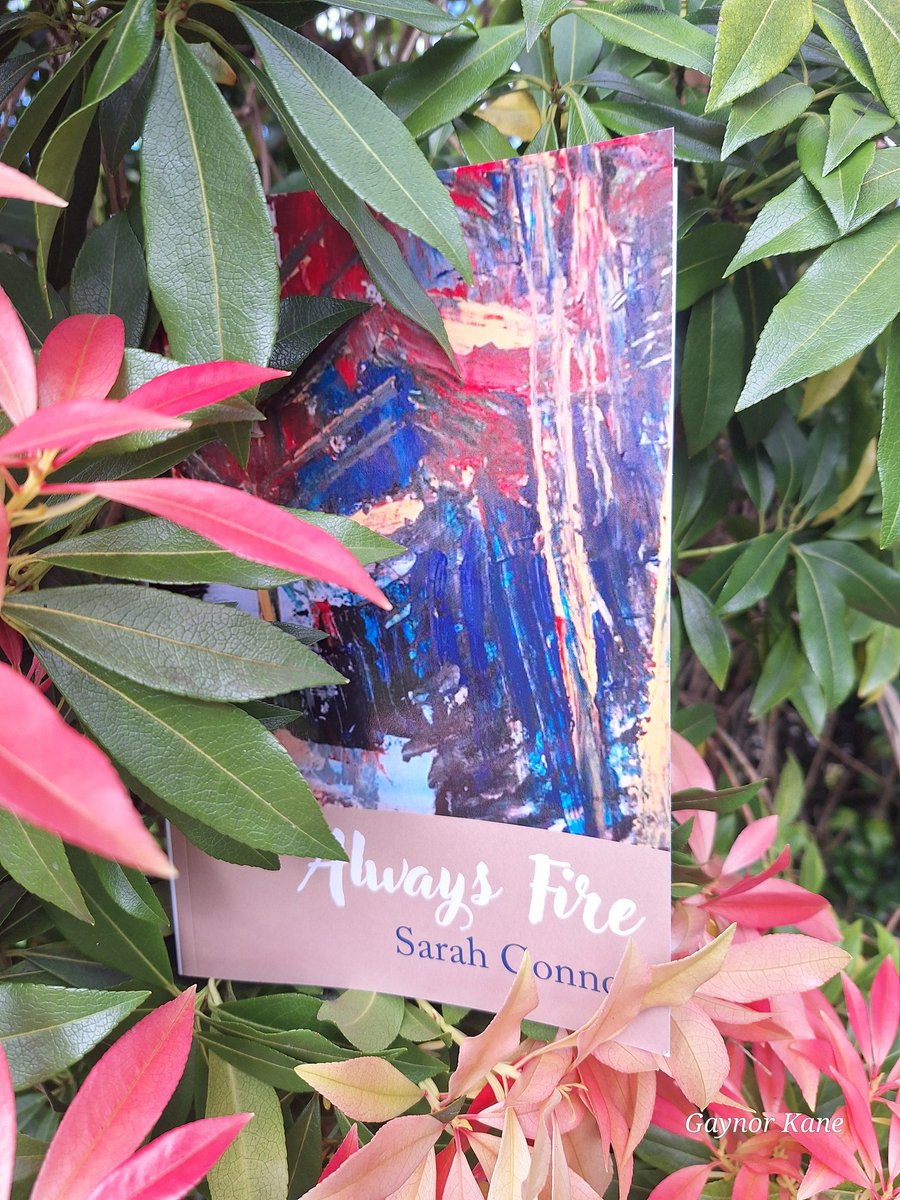 gaynorkane's tweet photo. Gorgeous #bookpost today. Look how at home Always Fire is in the forest flame, @sacosw! https://t.co/asGMXknrY0