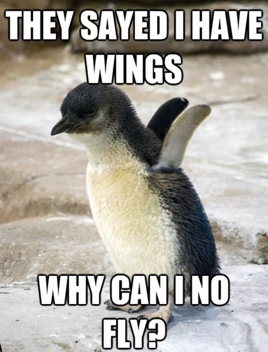 A reminder - the next $PWIN holder draw will also include 1 $SOL, simply hodl $PWIN - 1 token = 1 entry into the draw!
25% of the supply is held for prize draws - once we get rolling there will be no stopping us - get in early!

raydium.io/swap/?inputCur…

#Crypto #memecoins