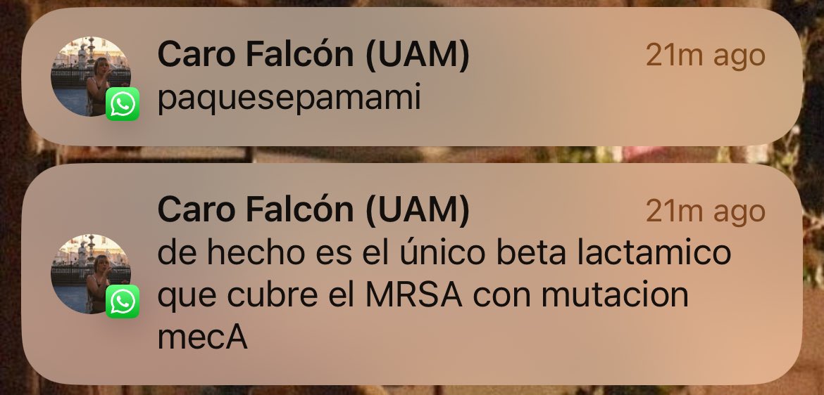 svcl28's tweet photo. Dios le da sus amigas más internistas a sus chicas más quirúrgicas literalmente qué está diciendo https://t.co/qrMHuXdcev