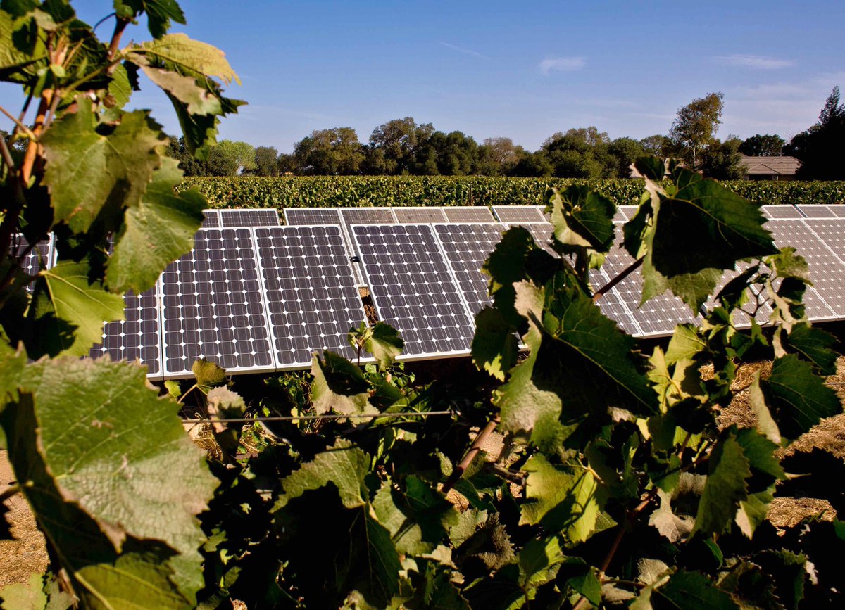 We get a lot of sun here in California, so it’s no surprise that wineries across the state are harnessing it's power. Solar energy is the cleanest and most abundant renewable energy source available & can be used to offset utility costs, or even power a facility. 📸 George Rose