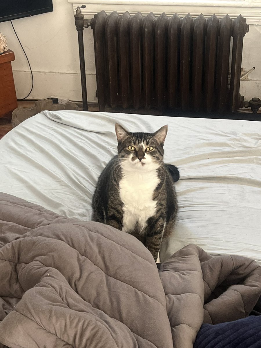 “You come home late again we gonna have some mother fucking issues “