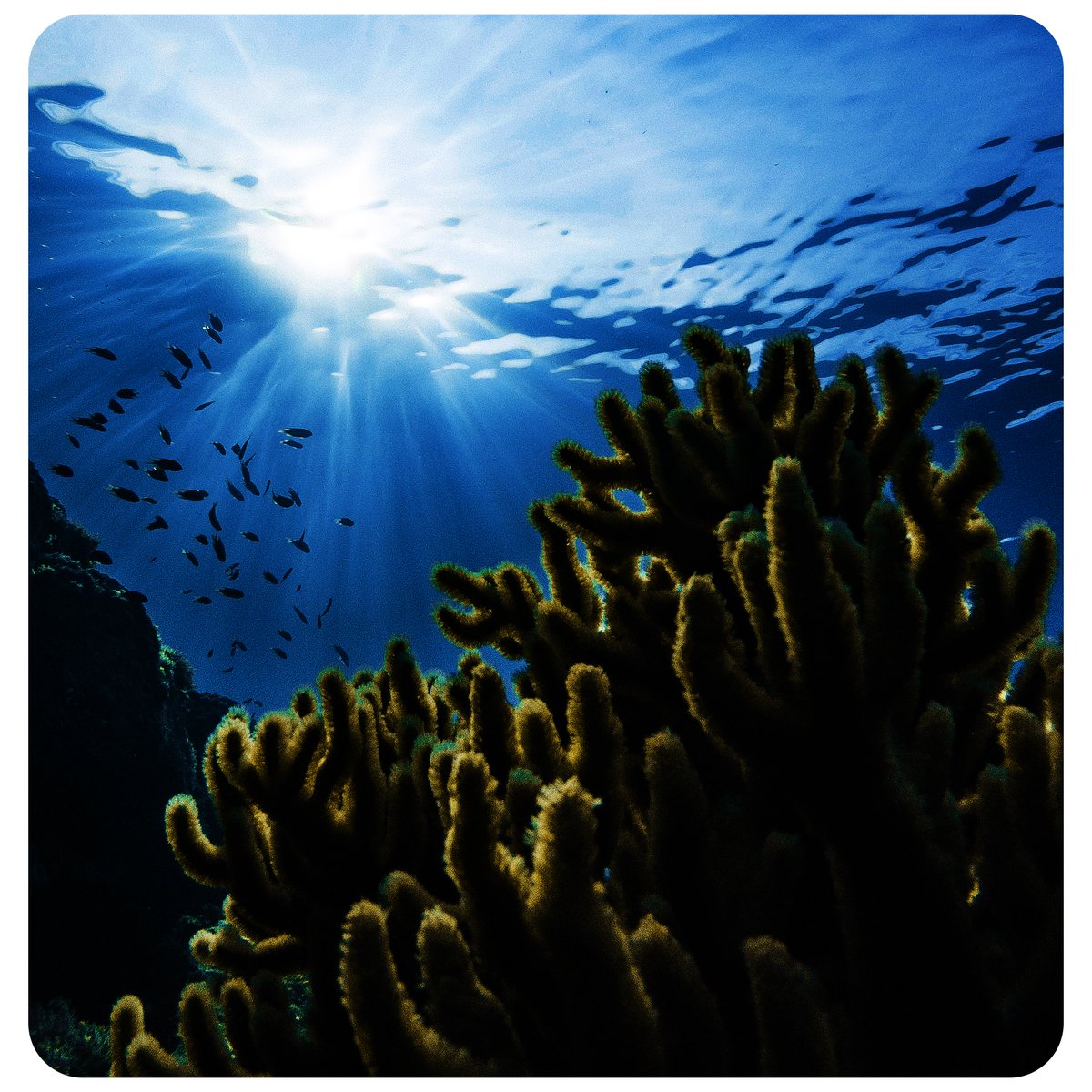 Good morning #WritingCommunity 🖤

Let's start the day with a #writerslift

Drop the links to your #books, #blogs, #poetry, #art, #websites, or anything else you want to share

RT others to spread the love
🖤🖤🖤