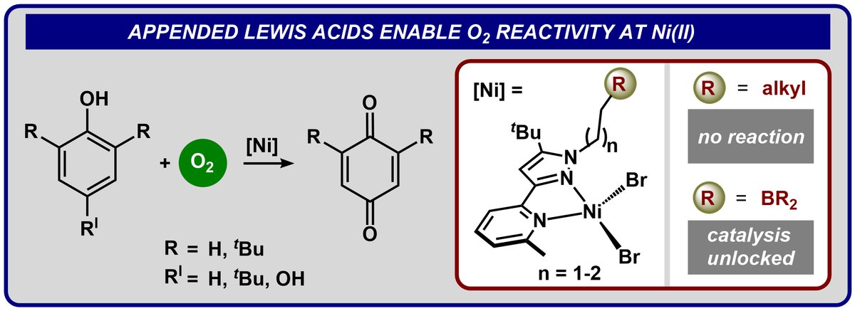 2nd sphere-promoted oxidation with Ni(II)! Check out our recent @J_A_C_S paper showing Lewis acid-promoted O2 reactivity! Great job Dan and Carol! @MichiganChem #Lewisacids #2ndsphere4life pubs.acs.org/doi/full/10.10…