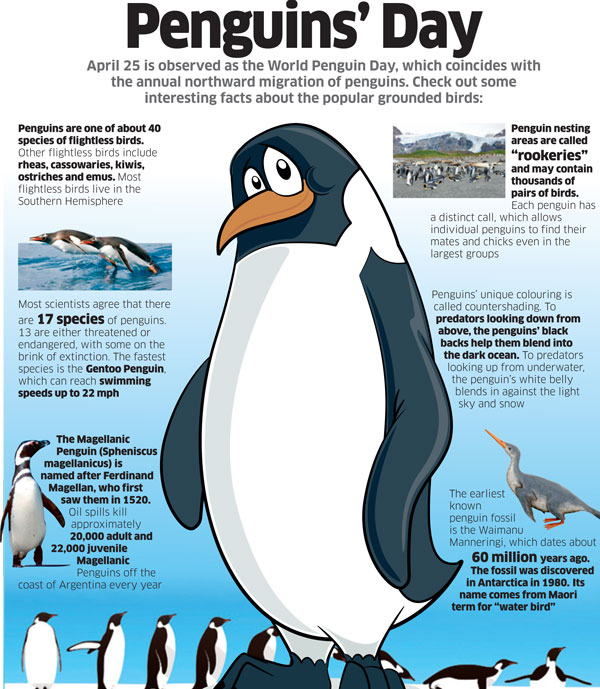 Happy World Penguin Day!

#Penguins #ThursdayThoughts