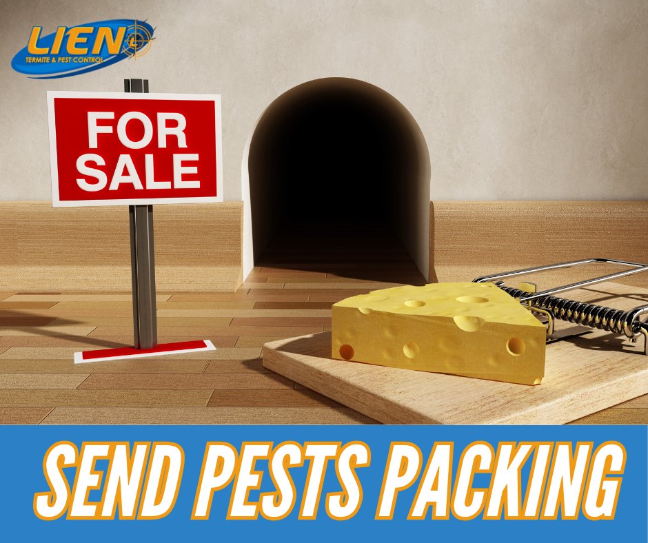 Send unwelcome pests out the door with our pest control services! #LienOnUs #PestControlOmaha #LienTermite