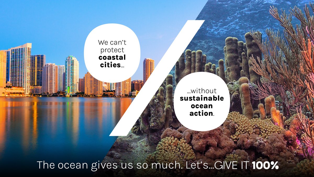 Coastal and marine ecosystems play a critical role in protecting our coastal cities, including helping to prevent erosion, storm-damage and flooding. #GiveIt100 #SustainableOceanAction