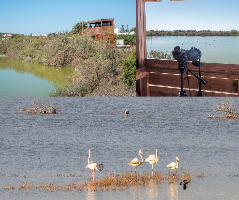 Voroklini Lake Festival, Saturday 27 Apr to raise awareness amongst children about the importance of #VorokliniLake with fun #activities: #birdwatching with binoculars, bird-themed crafts and art, games, educational and informative activities. Time: 9am - 1pm. Free admission