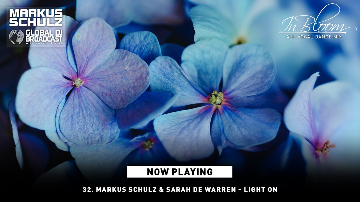 Last one for today: 32. Markus Schulz & @sarahdewarren - Light On #gdjb #inbloom youtube.com/watch?v=dv7upU…