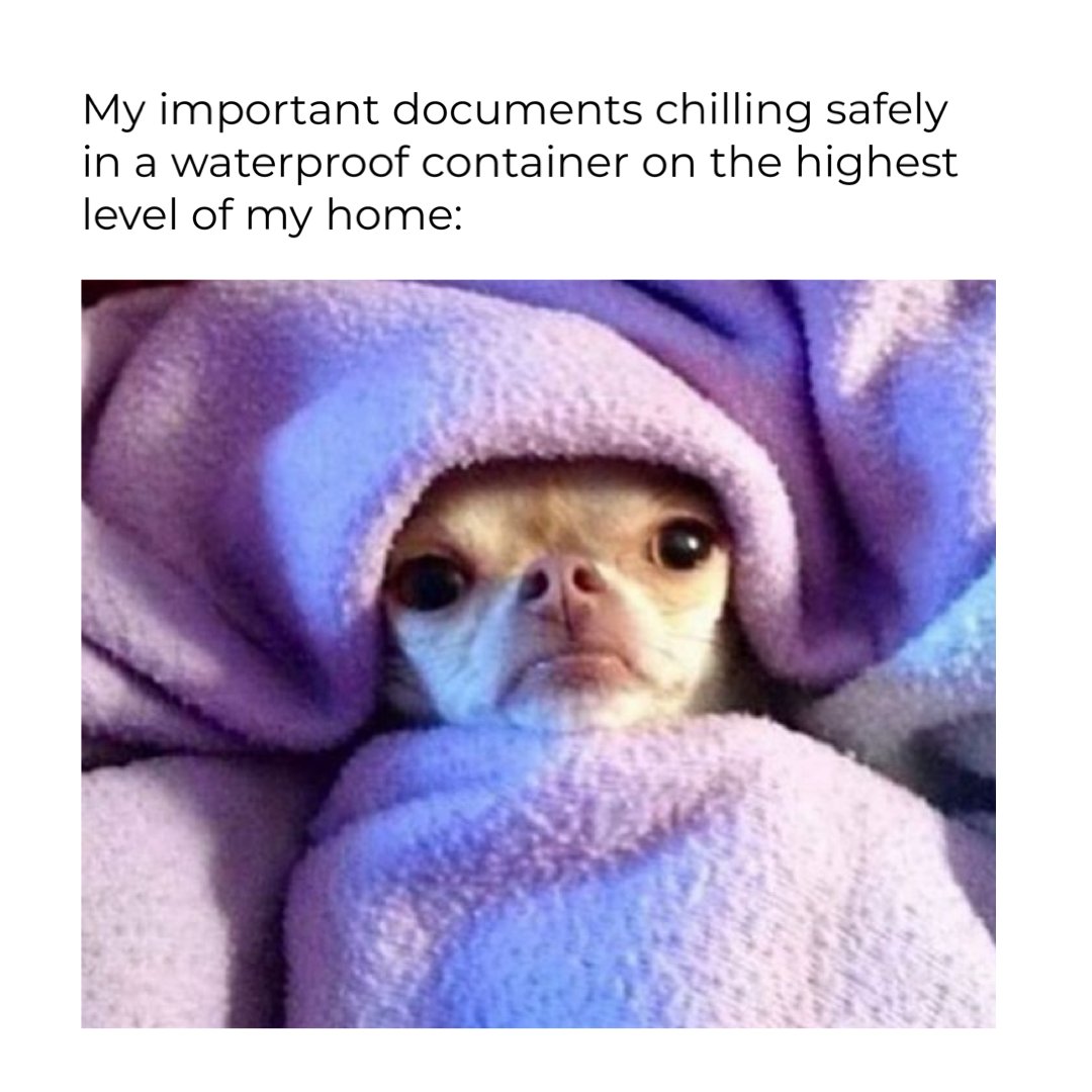 Keep those important documents safe & cozy. 🥰